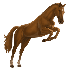 pegasus-pony welsh cob brauner