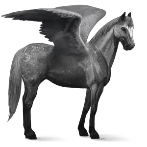 pegasus-reitpferd quarter horse apfelschimmel