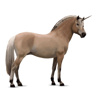 einhorn-pony braunfalben