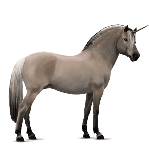 einhorn-pony graufalben