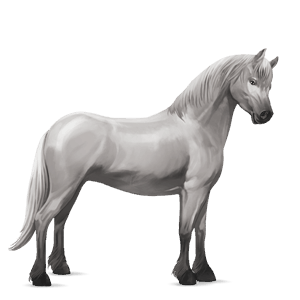 pony hellgrau