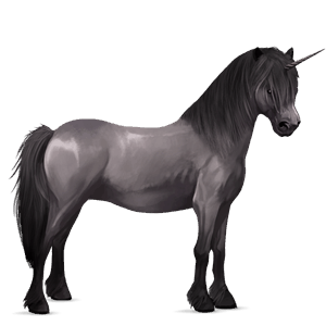 einhorn-pony brauner