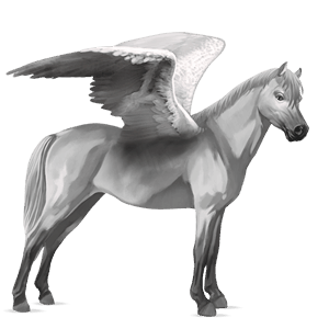 pegasus-pony connemara-pony hellgrau