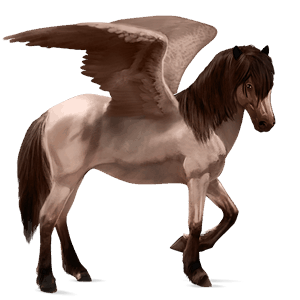 pegasus-reitpferd camargue-pferd forellenschimmel