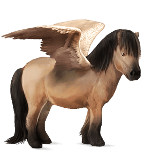 pegasus-pony shetlandpony falbe