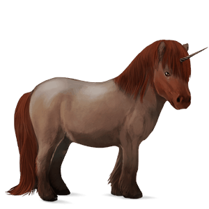 einhorn-pony neufundland pony brauner