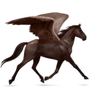 pegasus-reitpferd paint horse rappe mit tovero-scheckung