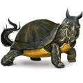 wildpferd schildkröte