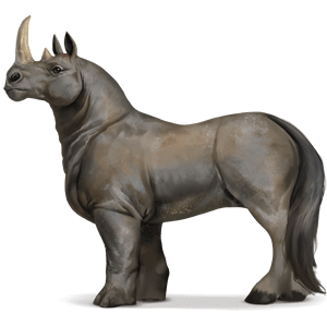 wildpferd rhinozeros