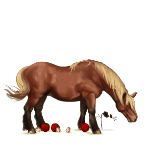 pegasus-pony shetlandpony rappe