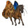 einhorn-reitpferd marwari falbe mit overo-scheckung