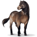 exmoor