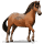 wildpferd welsh-mountain-pony