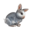 compagnon-lapin.png?1947483986