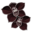 orchidee-noire.png?JHFAWNNM