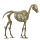 einhorn-reitpferd skelett