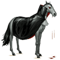 reitpferd vampir