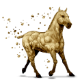 reitpferd element erde