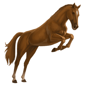 pony haflinger palomino