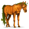 pegasus-pony kürbis