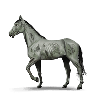 einhorn-reitpferd fames