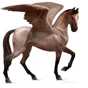 pegasus-reitpferd araber strawberry roan
