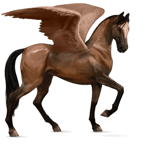 pegasus-reitpferd englisches vollblut brauner