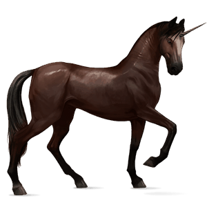 einhorn-reitpferd isländer dunkelfuchs
