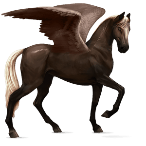 pegasus-reitpferd achal-tekkiner palomino