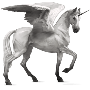 geflügeltes einhorn-reitpferd deutsches reitpferd dunkelbrauner