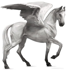 pegasus-reitpferd araber hellgrau