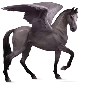 pegasus-reitpferd dunkelfuchs