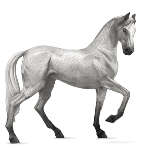 reitpferd brauner mit tobiano-scheckung