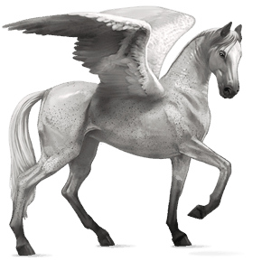 pegasus-reitpferd araber apfelschimmel