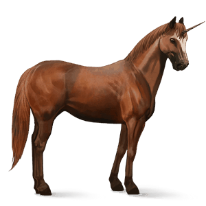 einhorn-reitpferd deutsches reitpferd brauner