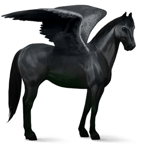 pegasus-reitpferd nokota rappe mit overo-scheckung