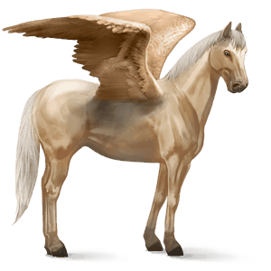 pegasus-reitpferd niederländisches warmblut apfelschimmel