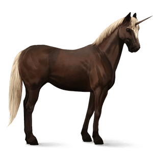 einhorn-reitpferd deutsches reitpferd mausgrau
