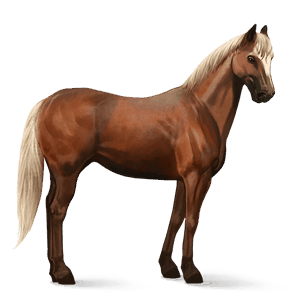 reitpferd argentinischer criollo fuchs mit heller mähne