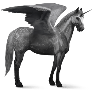geflügeltes einhorn-reitpferd nokota overo-fuchsschecke