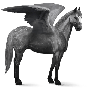 pegasus-reitpferd mausgrau