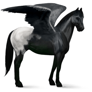 pegasus-reitpferd hellgrau