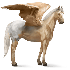pegasus-reitpferd argentinischer criollo fuchs mit tobiano-scheckung