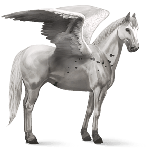 pegasus-reitpferd dunkelbrauner