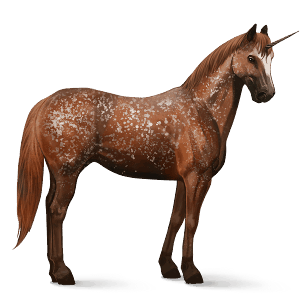 einhorn-reitpferd rotbrauner