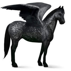 pegasus-reitpferd mausgrau