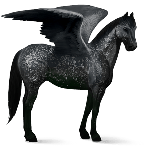 pegasus-reitpferd dunkelbrauner