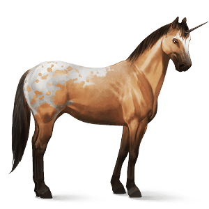 einhorn-reitpferd schabrackenpalomino