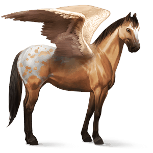 pegasus-reitpferd knabstrupper fuchsfarbener leopard