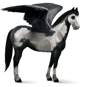 pegasus-reitpferd lusitano dunkelfuchs